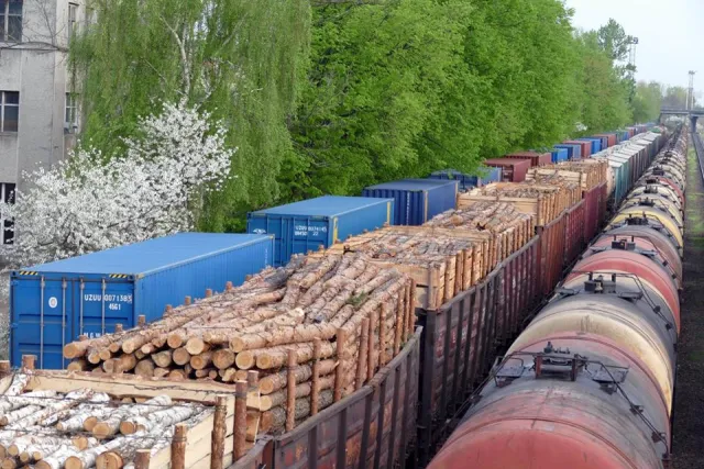 На франківському вокзалі вдруге зафіксували вагони з карпатським лісом, який вивозили у невідомому напрямку — фото 4