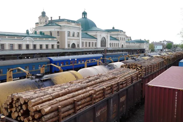 На франківському вокзалі вдруге зафіксували вагони з карпатським лісом, який вивозили у невідомому напрямку — фото 7