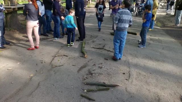 Служебная халатность: в парке Шевченко на голову женщине упала ветка с дерева, женщина в больнице — фото 1