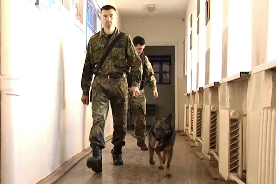 У франківській школі шукали «вибухівку» — фото 3