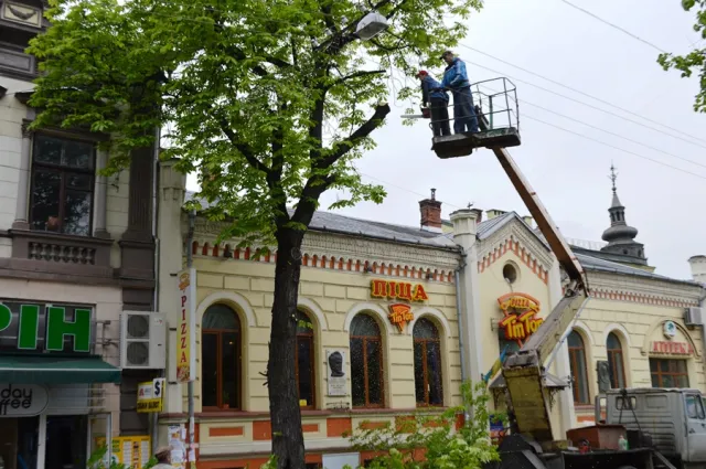 Мешканці міста обурені зрізанням каштанів у центрі Франківська — фото 1