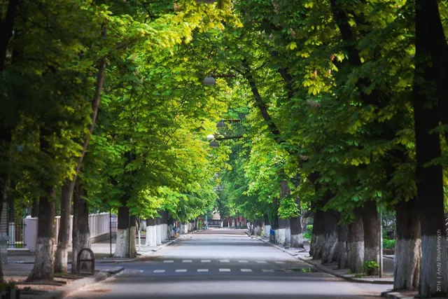 «Таким Франківськом хочеться гуляти», - фотографи показали безлюдні вулиці міста — фото 2