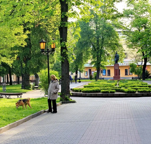 «Таким Франківськом хочеться гуляти», - фотографи показали безлюдні вулиці міста — фото 18