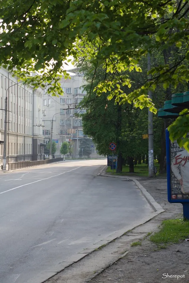 «Таким Франківськом хочеться гуляти», - фотографи показали безлюдні вулиці міста — фото 20
