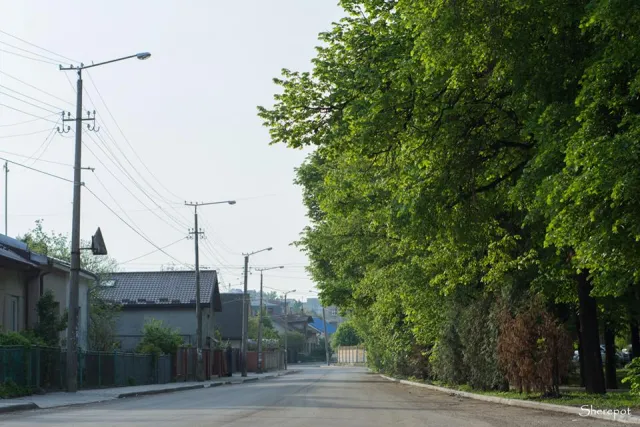«Таким Франківськом хочеться гуляти», - фотографи показали безлюдні вулиці міста — фото 24