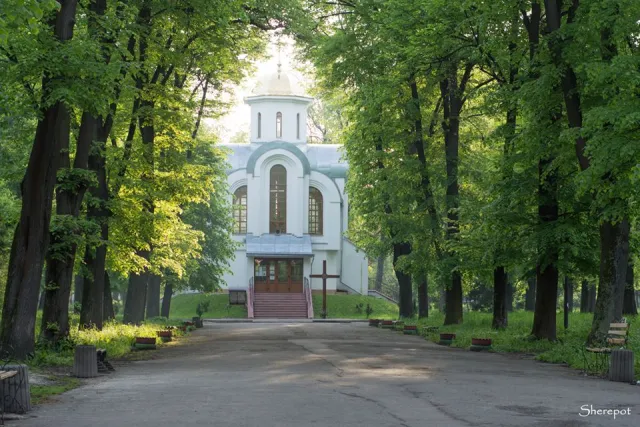 «Таким Франківськом хочеться гуляти», - фотографи показали безлюдні вулиці міста — фото 28