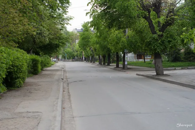 «Таким Франківськом хочеться гуляти», - фотографи показали безлюдні вулиці міста — фото 34