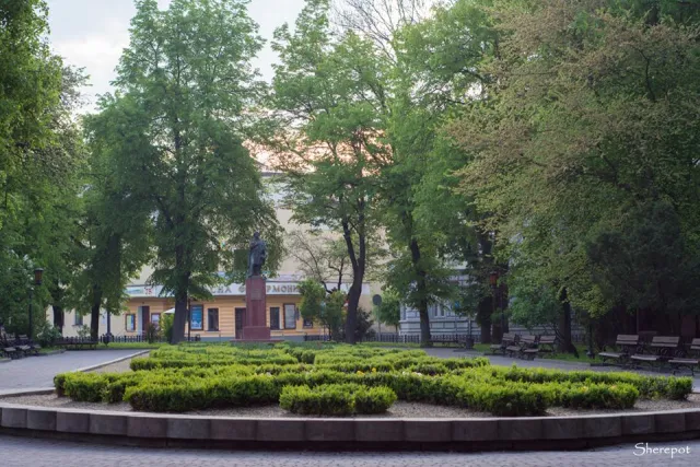 «Таким Франківськом хочеться гуляти», - фотографи показали безлюдні вулиці міста — фото 37