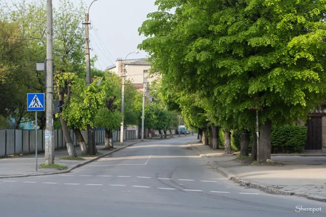 «Таким Франківськом хочеться гуляти», - фотографи показали безлюдні вулиці міста — фото 38
