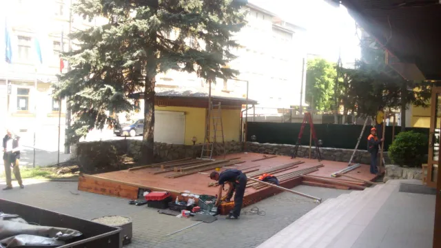 У кафе-клуба в центре Франковская срезали ветви с голубых елок — фото 1