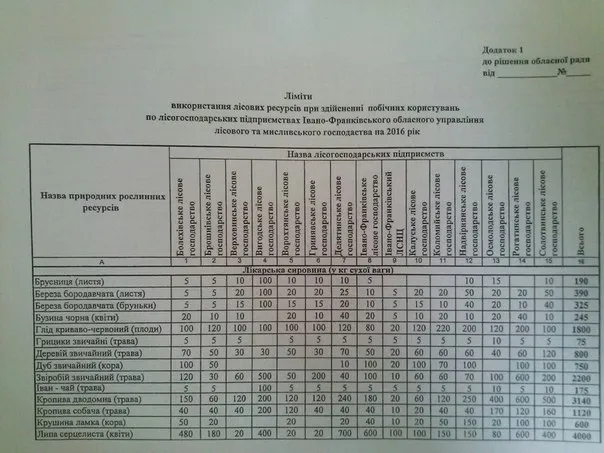 На Прикарпатті встановлять ліміт на гриби та ягоди — фото 1