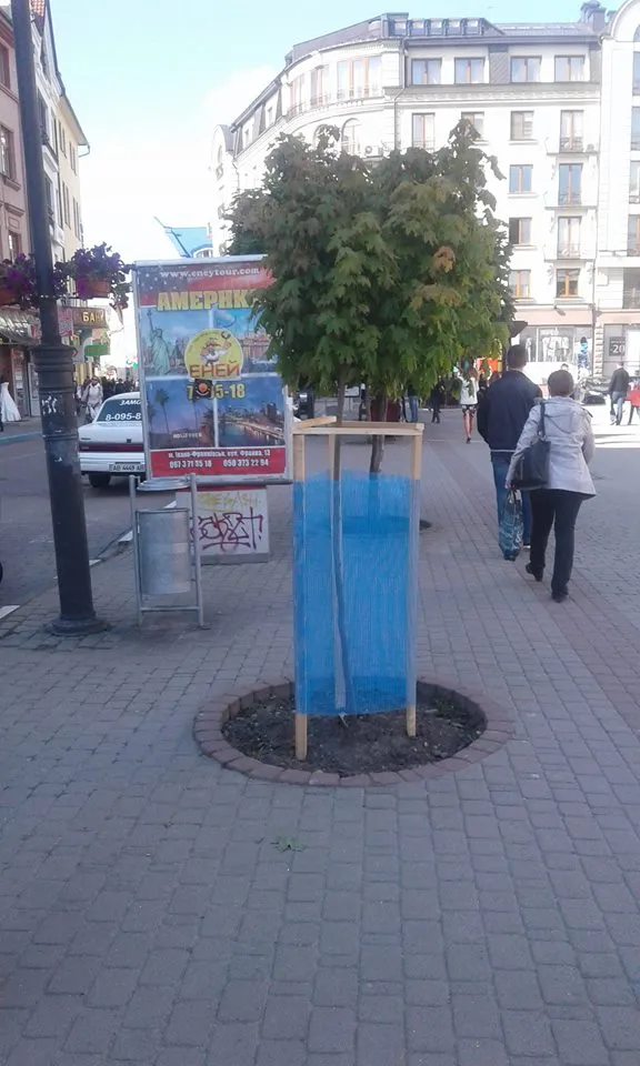 У Івано-Франківську висадили дерева та кущі на суму 150 тисяч гривень — фото 1