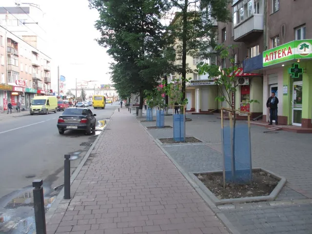 У Івано-Франківську висадили дерева та кущі на суму 150 тисяч гривень — фото 3