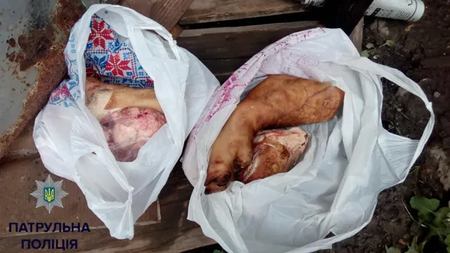 Женщина которая украла мясо, убегая от полиции забежала в церковь, чтобы покаяться — фото 1