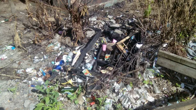 Поблизу палацу Потоцьких, у самому центрі Франківська, утворилося сміттєзвалище — фото 3