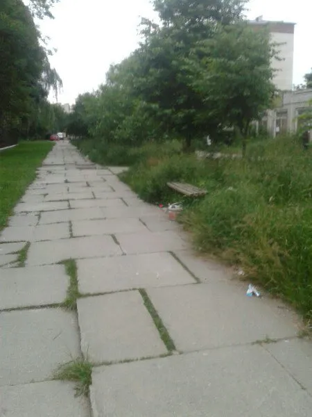 Поломанные скамейки и кучи мусора: аллея у Франковского саду превратилась в свалку — фото 4
