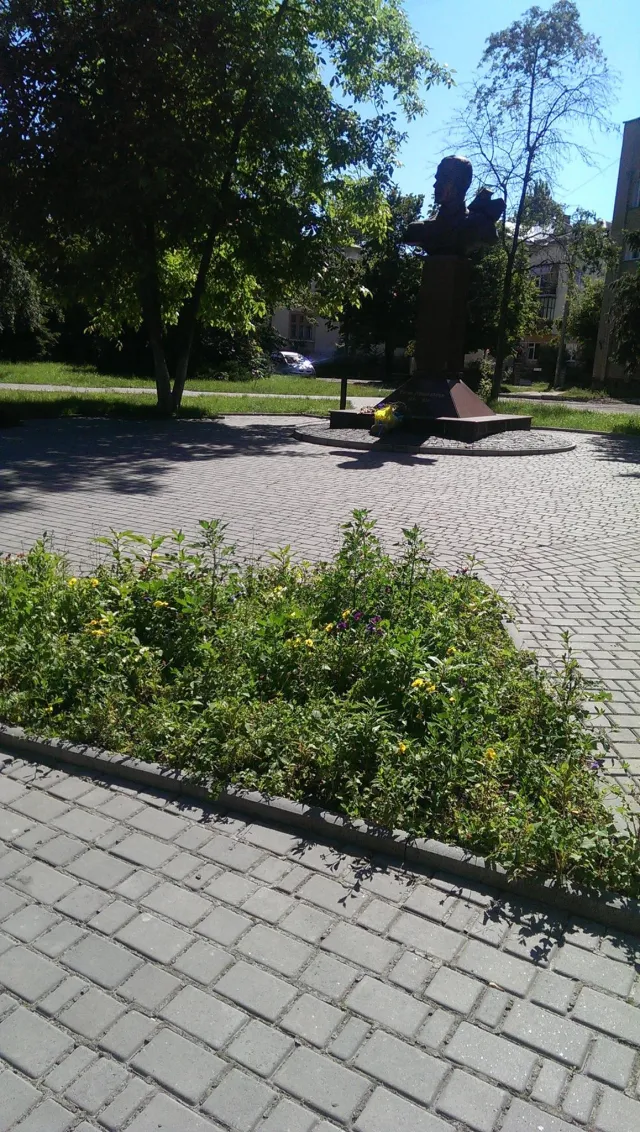 Вместо цветов на франковских клумбах растут чертополох — фото 2
