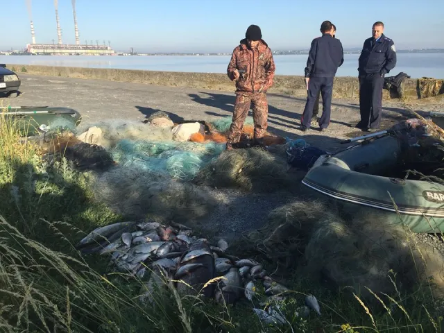 На Бурштынском водохранилище зафиксировали масштабное браконьерство — фото 1
