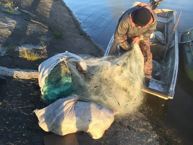 На Бурштынском водохранилище зафиксировали масштабное браконьерство — фото 2