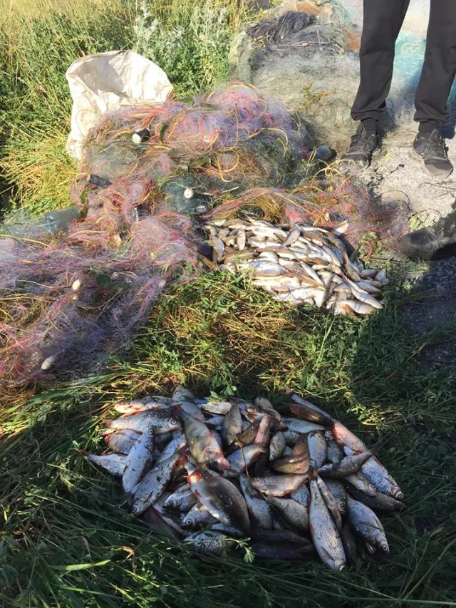 На Бурштынском водохранилище зафиксировали масштабное браконьерство — фото 10