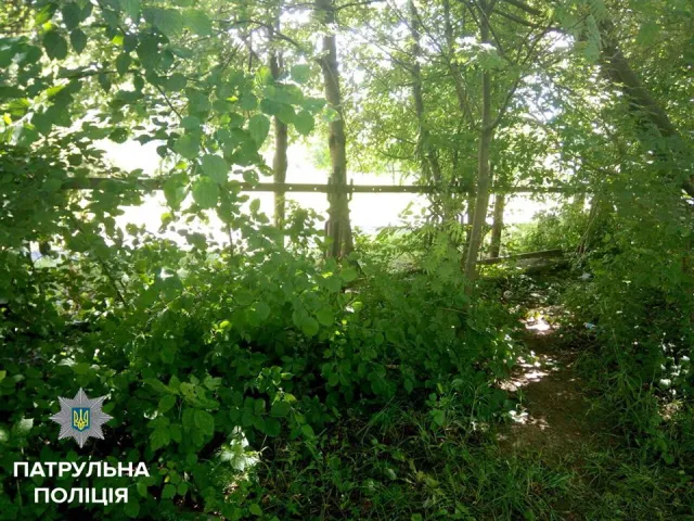 В Ивано-Франковске патрульные задержали воров, которые пытались украсть школьный забор — фото 2