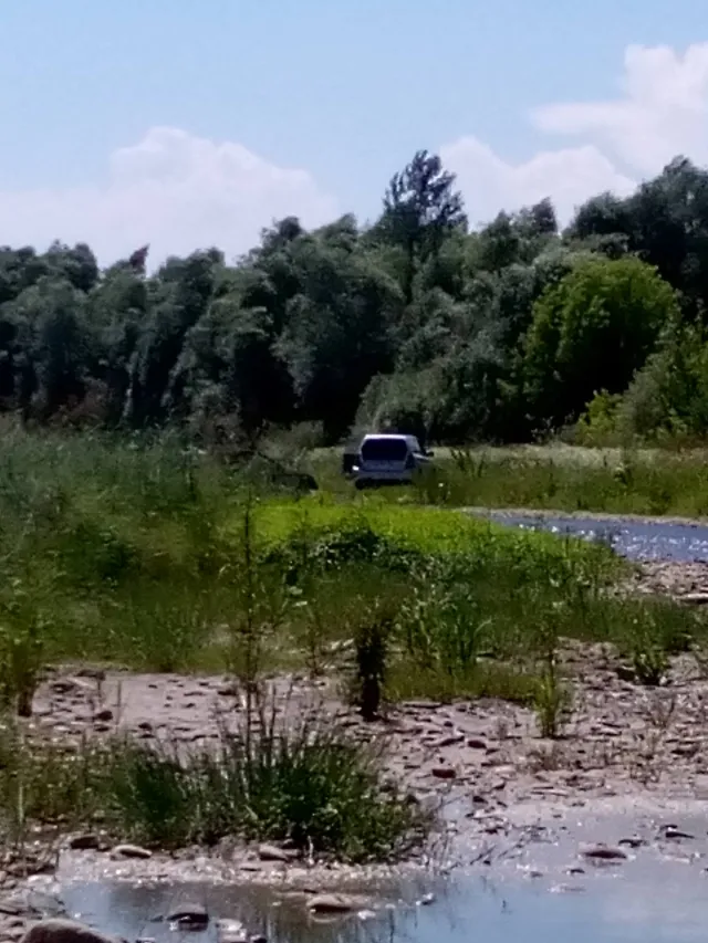 У Івано-Франківську на річці Бистриці водій ледь не втопив свою автівку — фото 2