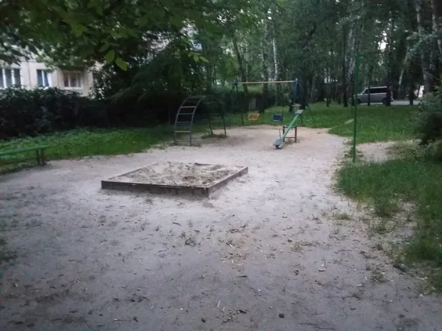 В Франковске пенсионеры закопали в песочнице труп кота, чтобы там больше не играли дети — фото 1