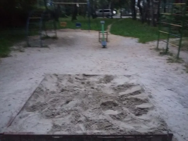 В Франковске пенсионеры закопали в песочнице труп кота, чтобы там больше не играли дети — фото 2