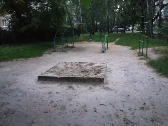 В Франковске пенсионеры закопали в песочнице труп кота, чтобы там больше не играли дети — фото 3