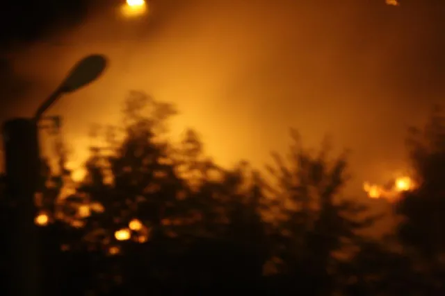 У Калуші підпалили суху траву, яку до цього скосив муніципальний трактор. У пожежі підозрюють комунальників — фото 2
