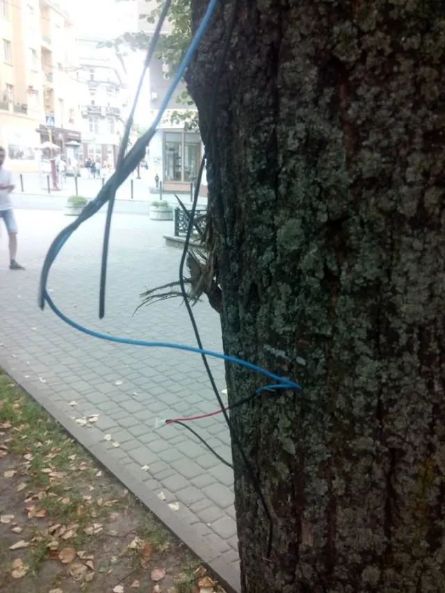 В сквере на площади Мицкевича вандалы окончательно уничтожили интерактивную светодиодную инсталляцию "Песня деревьев" — фото 3