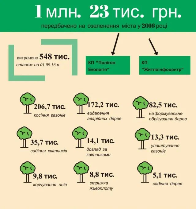 На озеленення Коломиї протягом восьми місяців витрачено понад півмільйона гривень — фото 1
