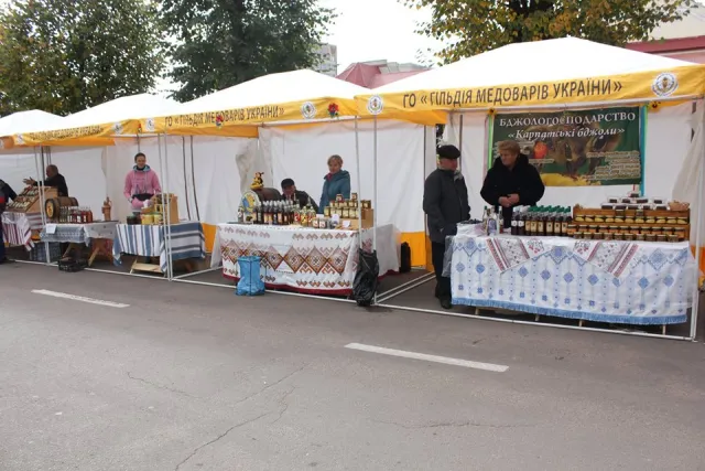 У Долині відбувся "Органік Фест 2016" — фото 9