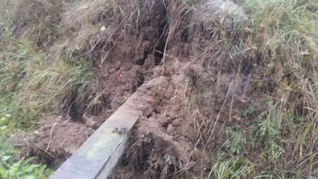 В Верховине на автомобиль, который двигался вдруг упал столб — фото 2