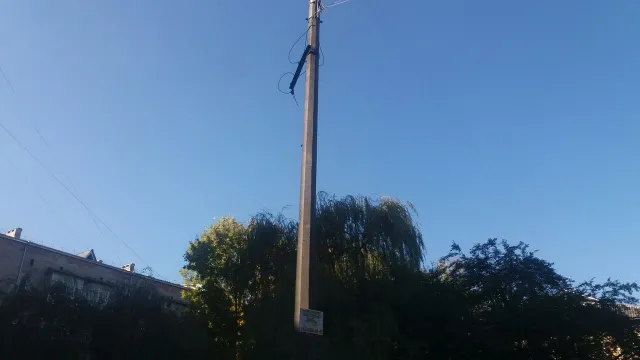 В Ивано-Франковске на одной из улиц дерево оборвало электрические провода — фото 1