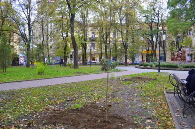 В сквере Русской тройке высадили молодые ясени — фото 2