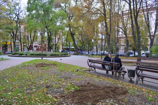 В сквере Русской тройке высадили молодые ясени — фото 3