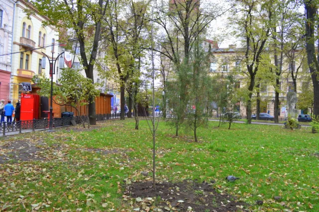 В сквере Русской тройке высадили молодые ясени — фото 4