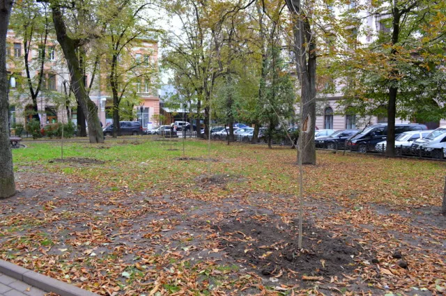 В сквере Русской тройке высадили молодые ясени — фото 6