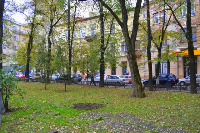 В сквере Русской тройке высадили молодые ясени — фото 9