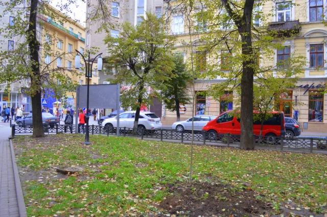 В сквере Русской тройке высадили молодые ясени — фото 10