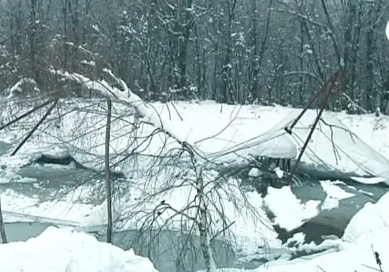 В Ивано-Франковске коммунальщики до сих пор не убрали поваленные деревья возле роддома — фото 1