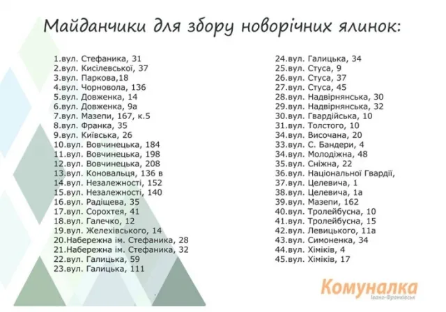 Стали известны адрес куда сносить елки, иначе - штраф — фото 1