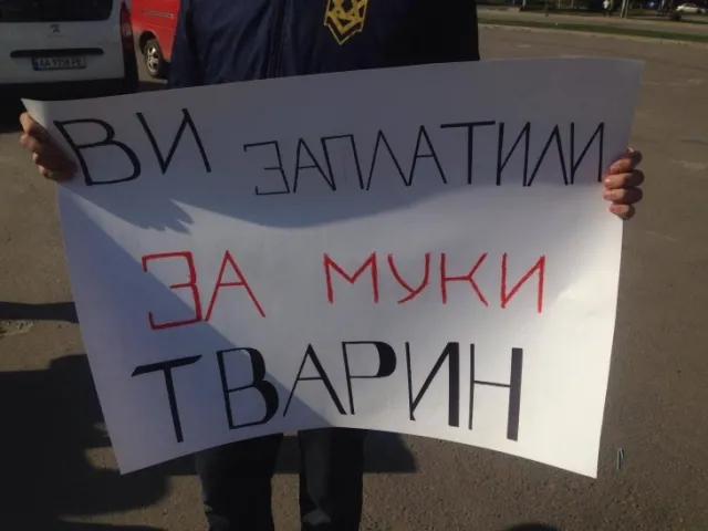 В Ивано-Франковске состоялся протест против условий жестокого обращения с животными и ужасных условий содержания их в цирках — фото 3