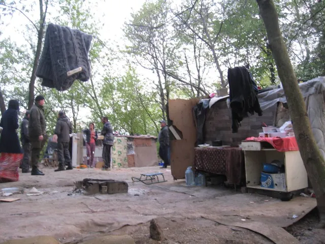 В Ивано-Франковске полиция договорилась с цыганами, что они не будут воровать у горожан — фото 3