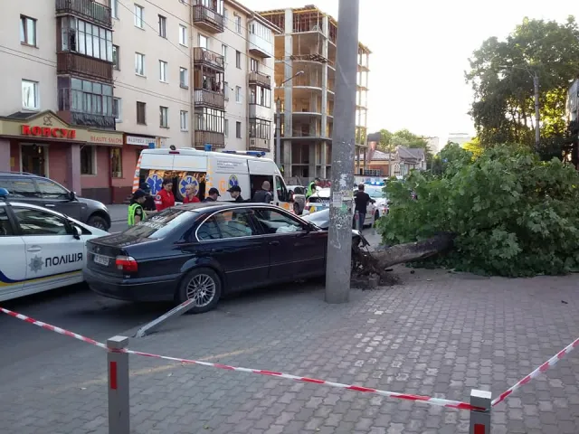 ДТП на Василиянок: женщина врезалась в дерево и снес два металлических столбца. У пассажира автомобиля нашли наркотики. Все детали аварии — фото 2